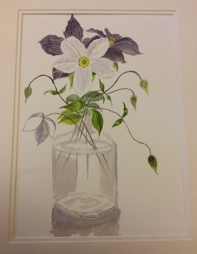 Jean R, Clematis and Anemone Wild Swan, watercolour.
